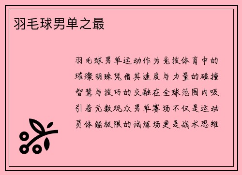羽毛球男单之最